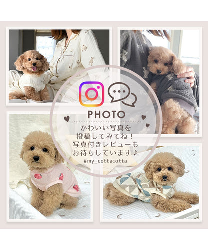 Instagramかわいい写真を投稿してみてね！#my_cottacotta